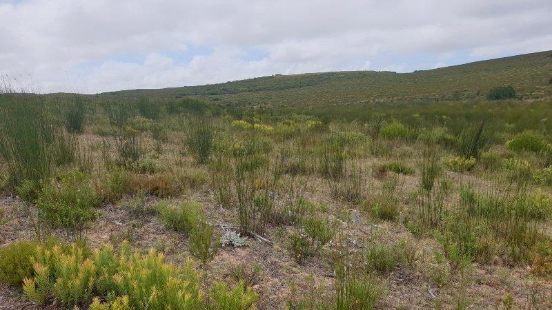 0 Bedroom Property for Sale in Stilbaai Rural Western Cape